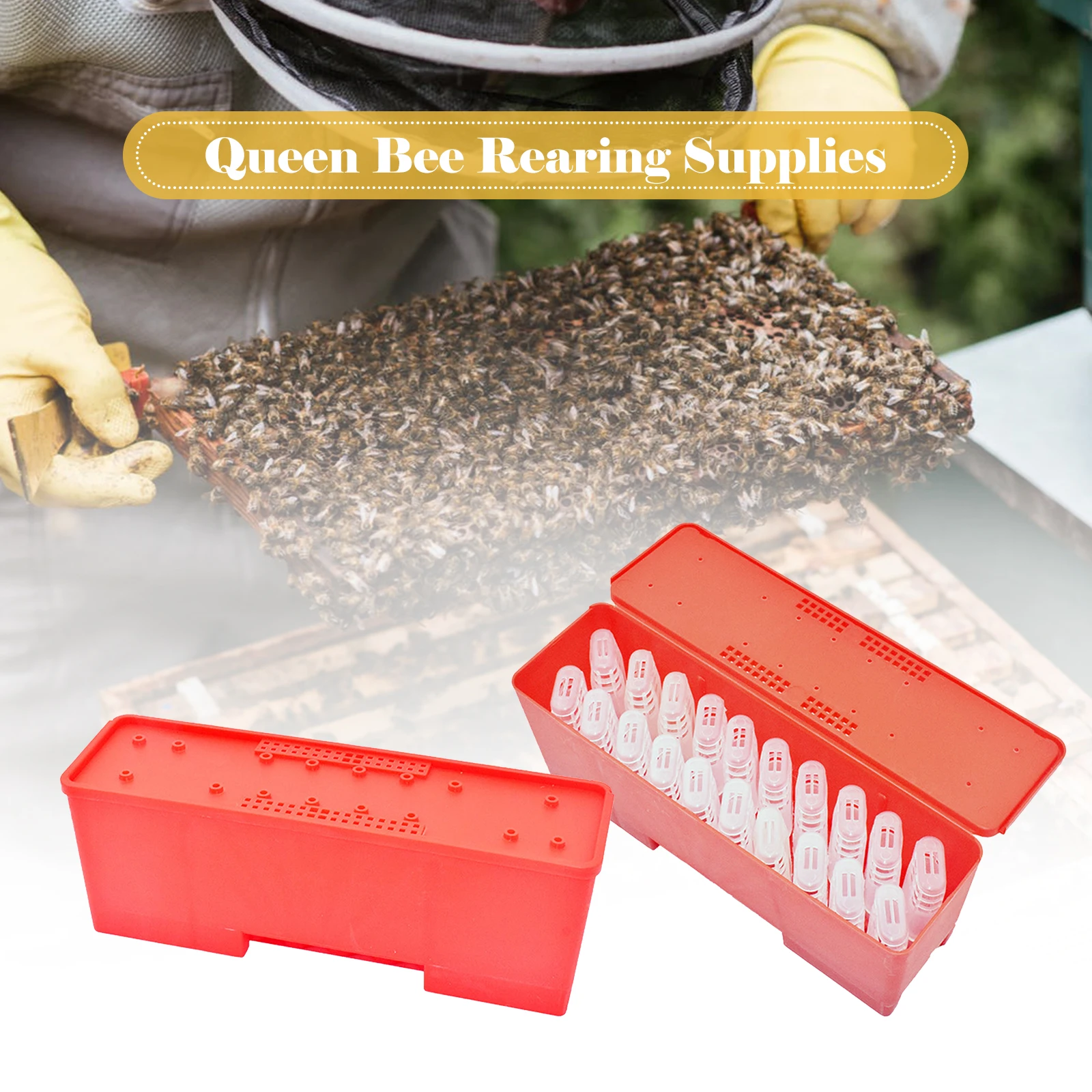 20PCS Bee Queen Cage with Transport Box Bee Queen Cage Holder Queen Bee Rearing System for Beekeeper Supplies Hive Tool Kits