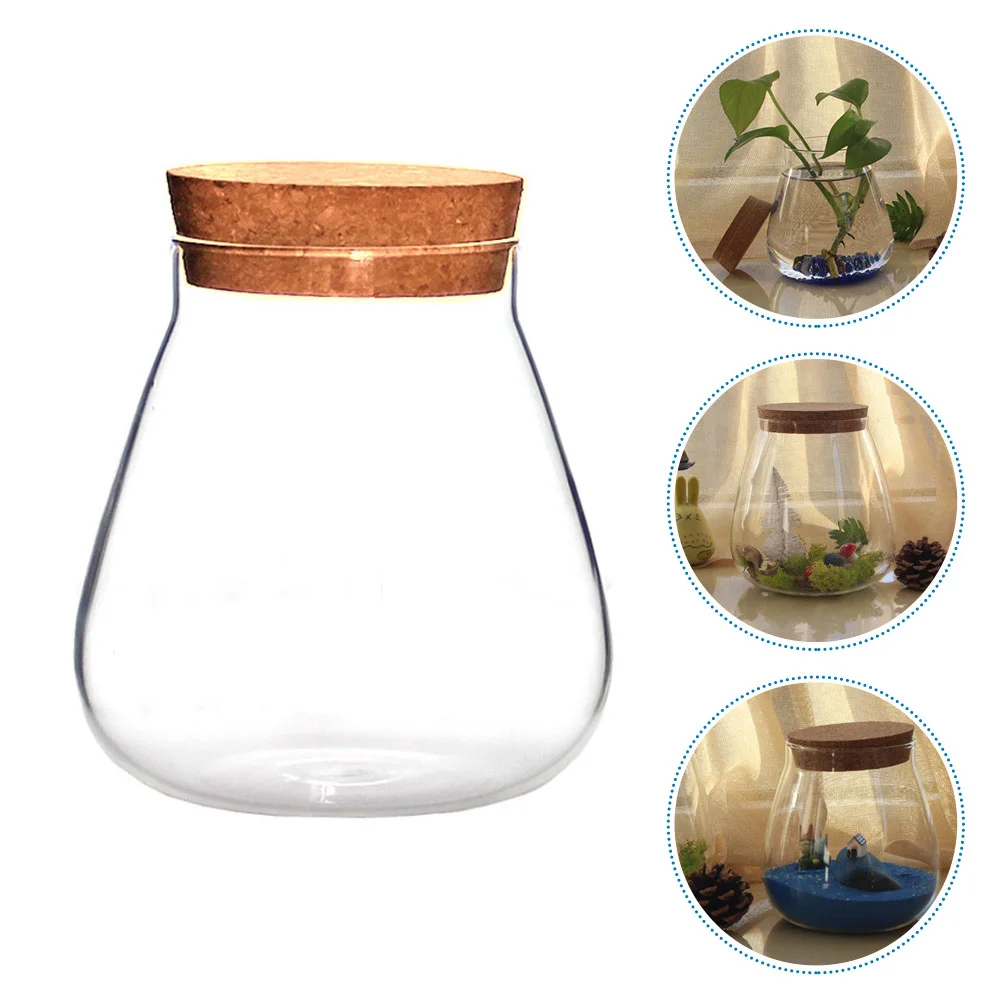 

Glass Snack Containers Display Pot Clear Container Lid Food Canister Succulent Terrarium Candy Jar Sealed Jar Cork Glass Bottle