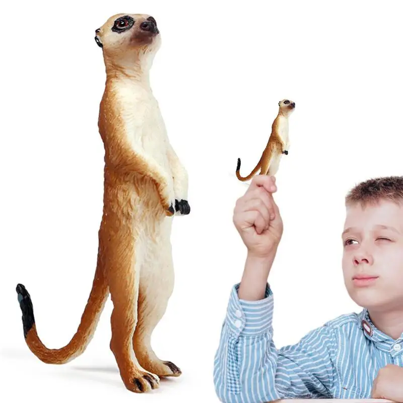 

Фигурки животных дикой жизни, миниатюрные фигурки Мангуста для спальни, имитация Мангуста, миниатюрная скульптура животного пустыни
