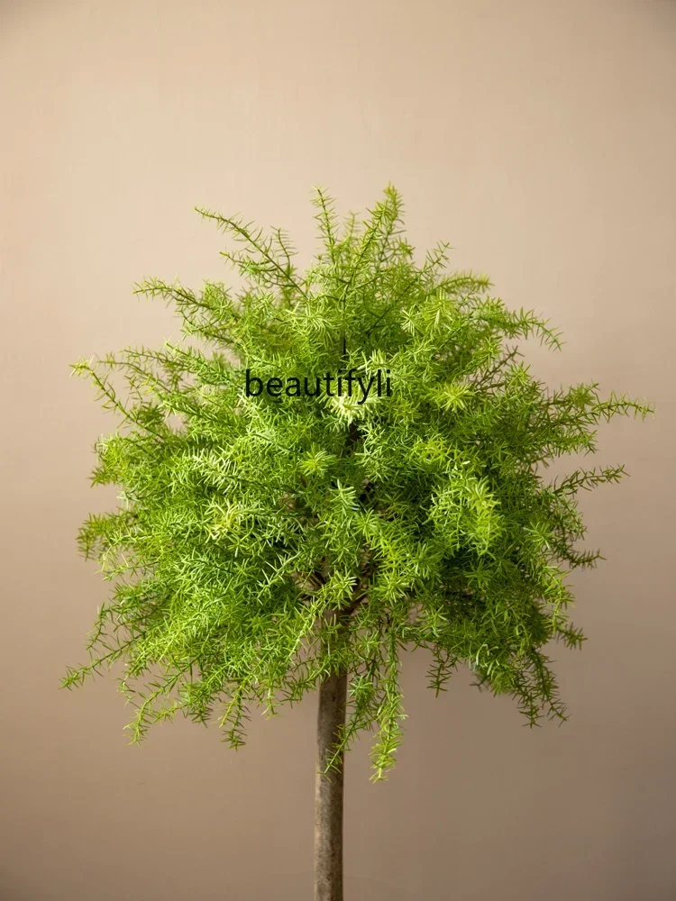 Искусственное зеленое растение искусственное дерево спаржа пол комнатное для