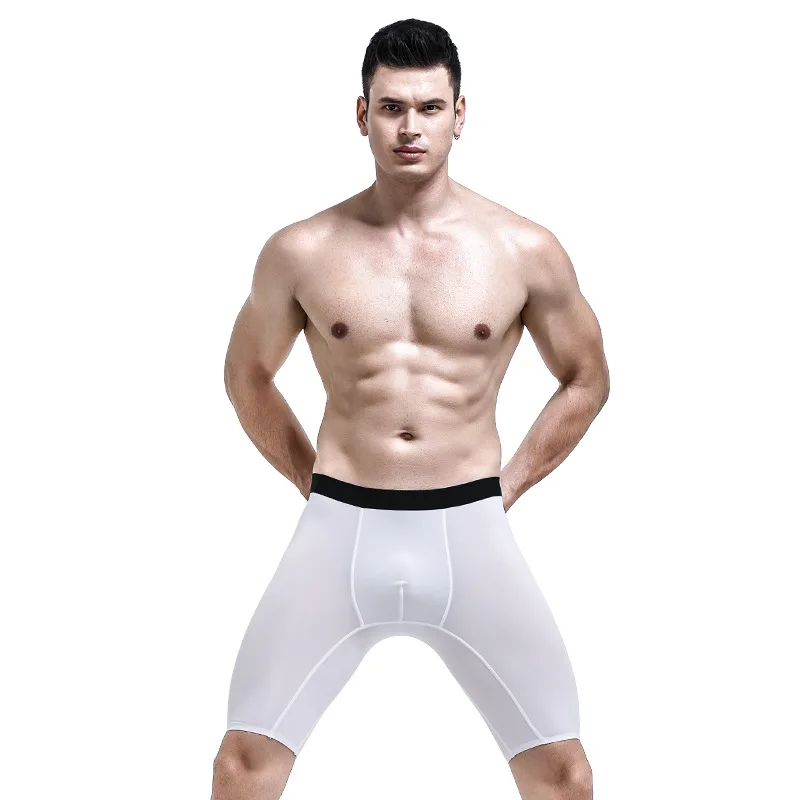 

Men Sexy See Through Boxers Long Winter Sport Elastic Breathable Underwear Thin Bulge Dick Pouch Summer Shorts Tight Gay Panties