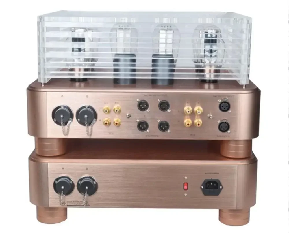 Рисунок 3 - Флагманский трубчатый предусилитель