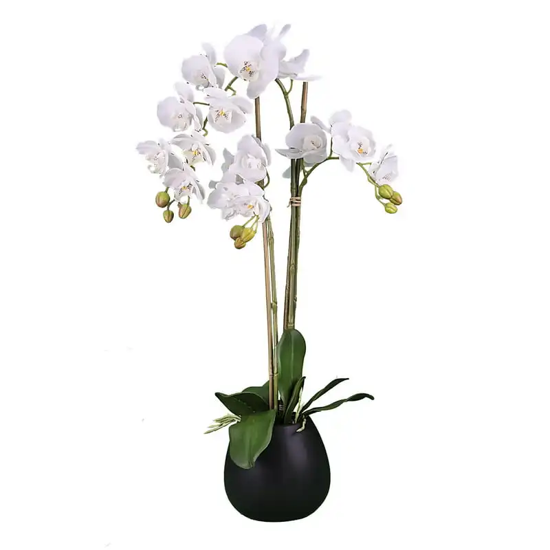 

LCG Sales 32" Faux White Orchid in White Embossed Ceramic Pot