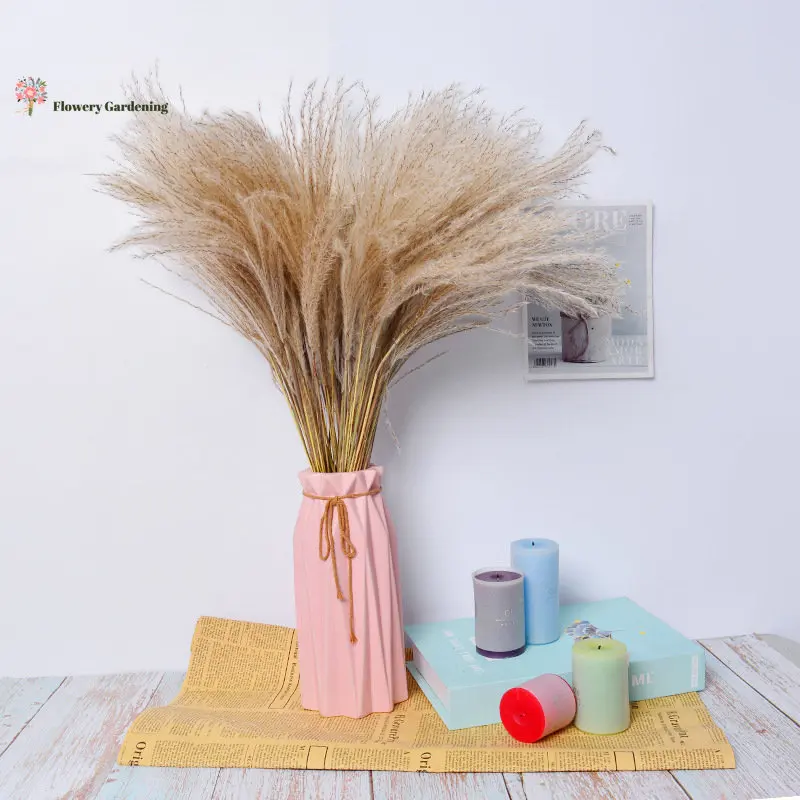 

40PCS Fluffy Whisk Dried Flower Natural Pampas Arrangement Bouquet For Garden Decoration Nordic Living Hoom Decor Accessories