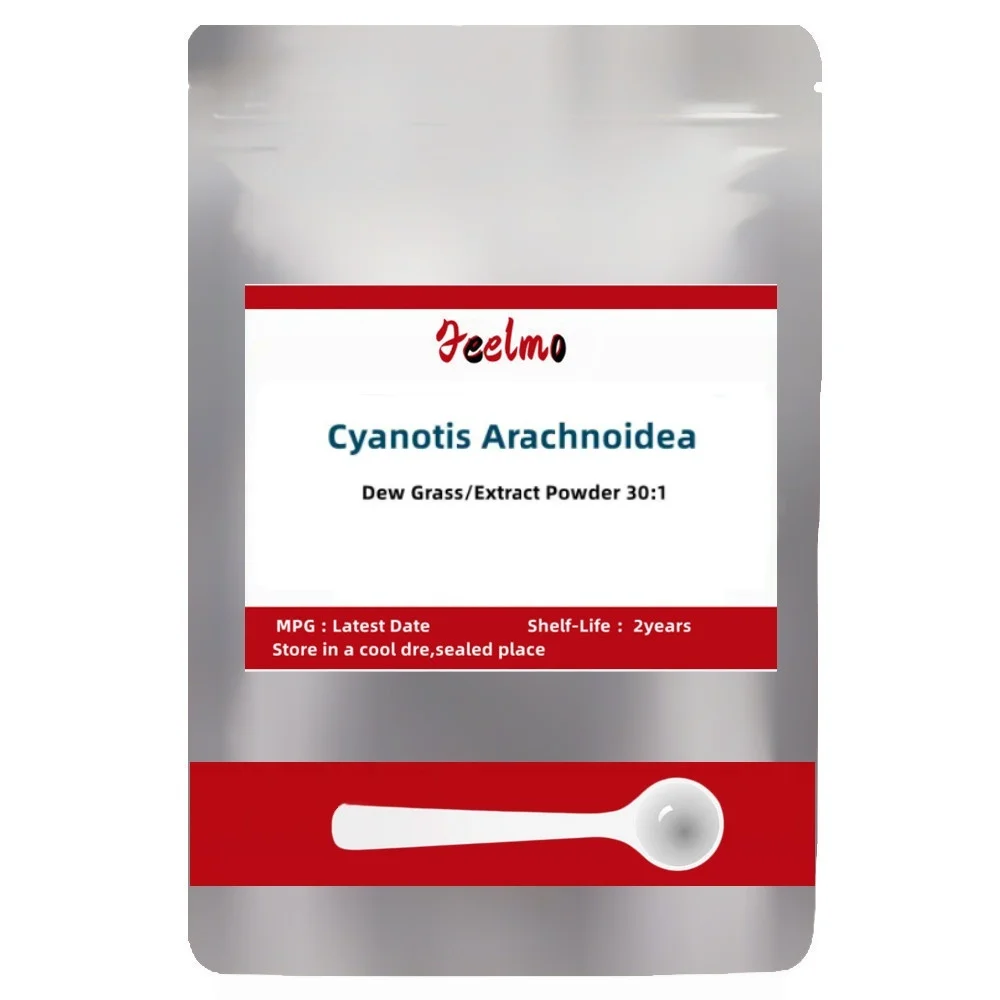 50 г-1000 г 100% Cyanotis Arachnoidea 30:1 трава росы бесплатная доставка