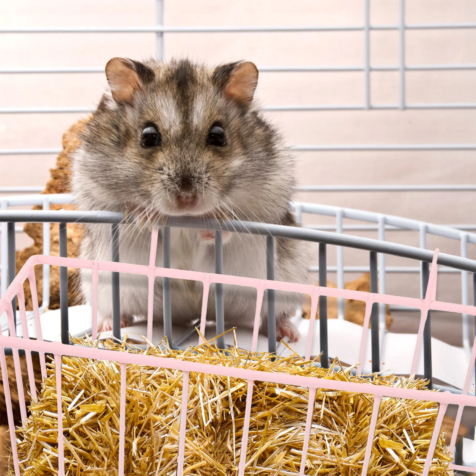 Стойка для сена кроликов клетка удобная шиншиллы подвесные принадлежности
