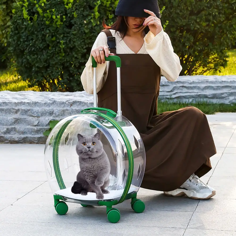 

New Multi Hole Design Pet Trolley Case Going Transparent Waterproof Out Portable Dogs Cats Air Box Pet Travel Suitcase