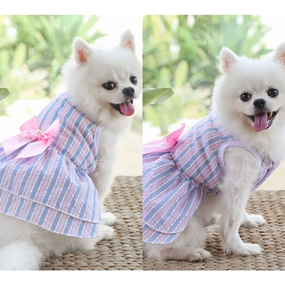 

2022New Dress Dog Clothes Clothes For Small Dogs Costum Spring Summer Autumn Pet Dog Cat Clothes Dog Accessories