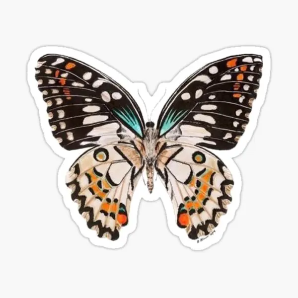 Бабочки 5 шт. наклейки для бампера детский Декор багажа ноутбука дома забавные