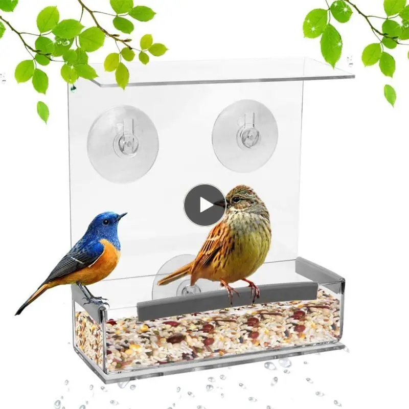 

Bird Feeder Wild Bird Feeder Water Feeder Outdoor Hummingbird Feeder With Suction Cup