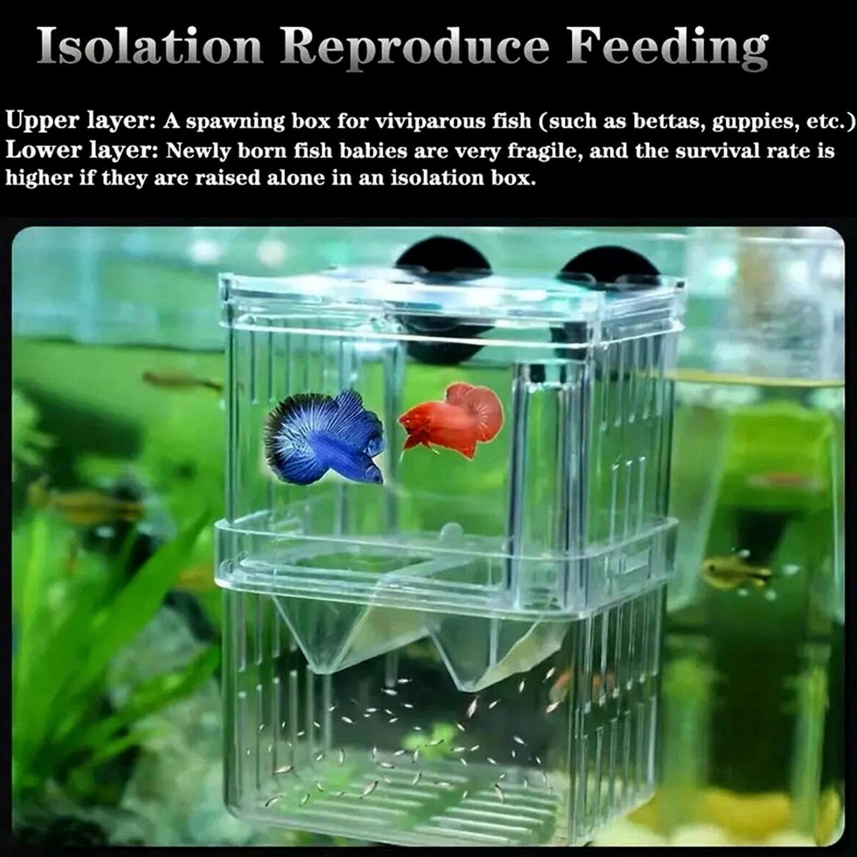 Многофункциональный Двухслойный Изолированный Ящик Для Разведения Рыб