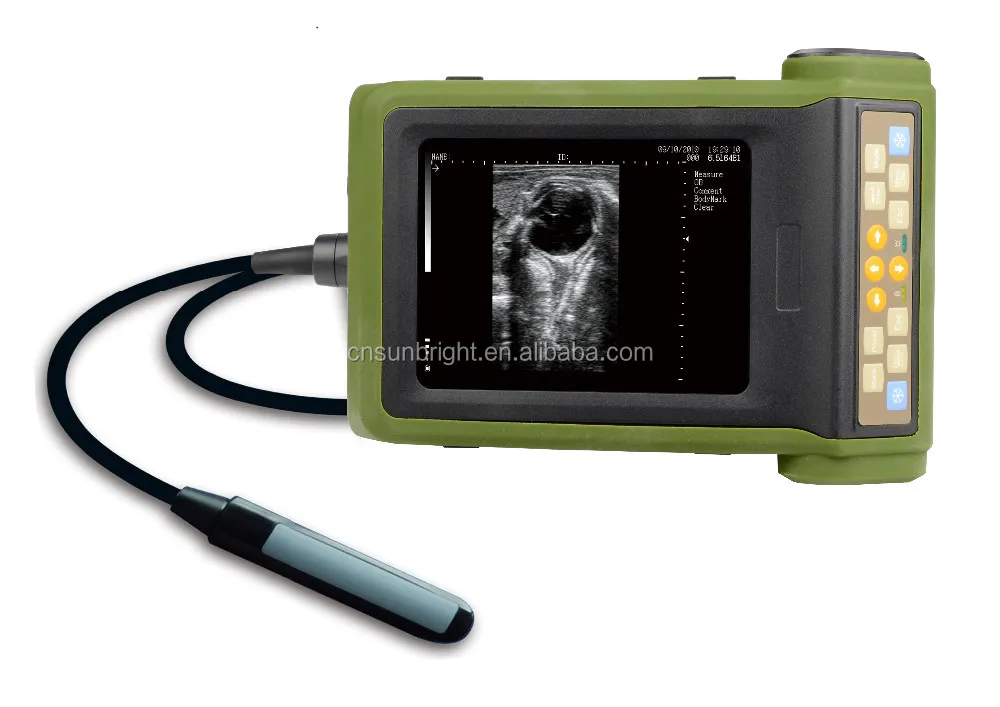 Animals ecography handheld & ultrasound  video glasses