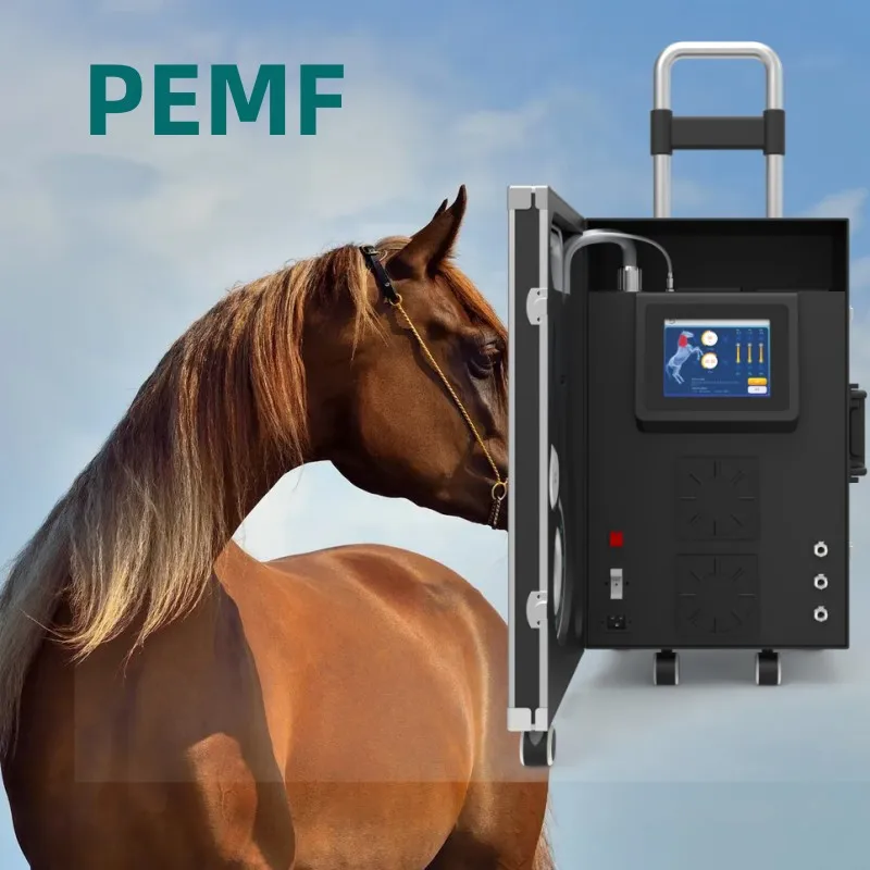 Аппарат для магнитотерапии Equine EMTT PEMF физиотерапии отеков мышц и воспаления с 4