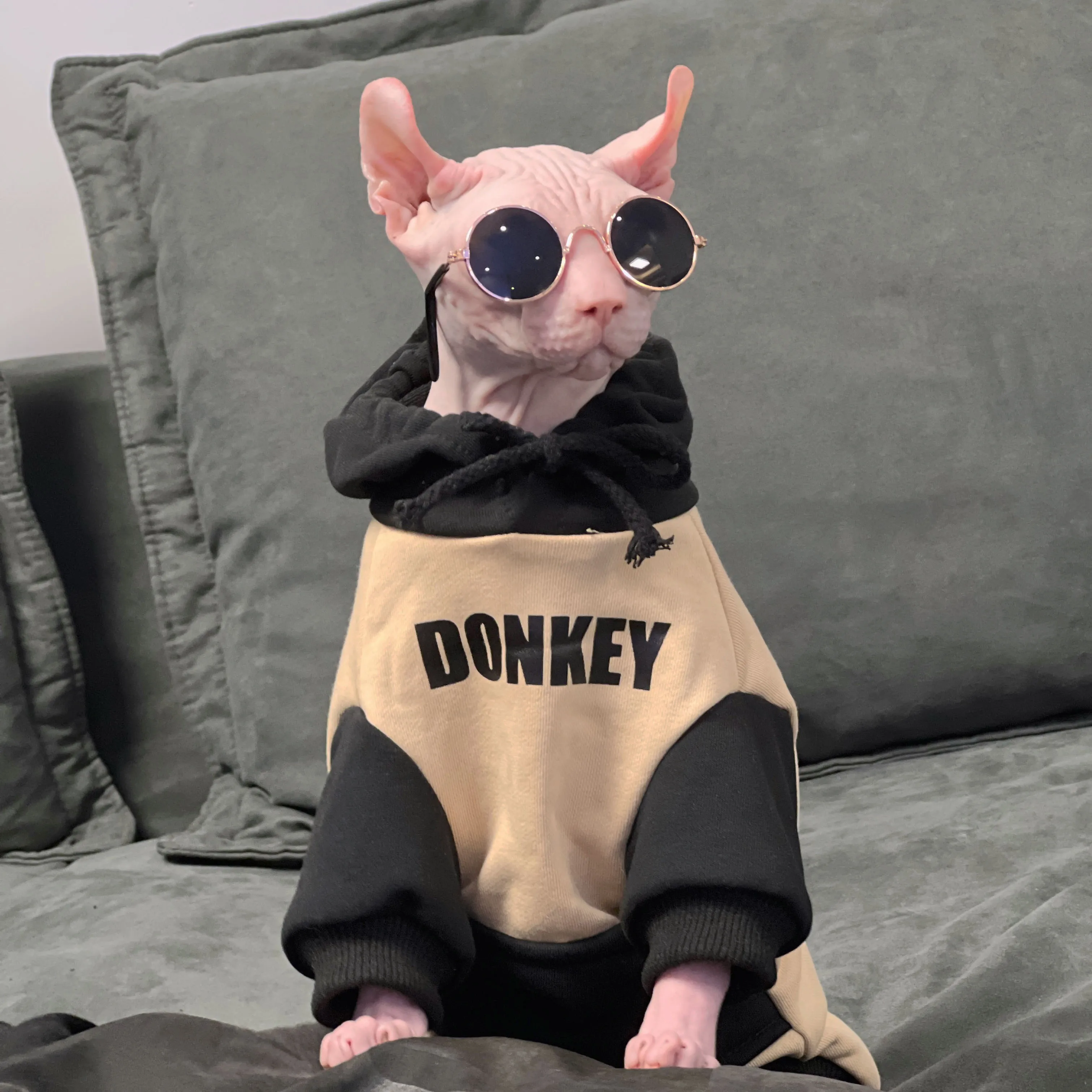 

Hairless Cat Hoodie Autum Winter Kitten Clothes Warm Cotton Cat Sweater Sphynx Devon Rex Outfits Clothing Sphinx Cat Costume