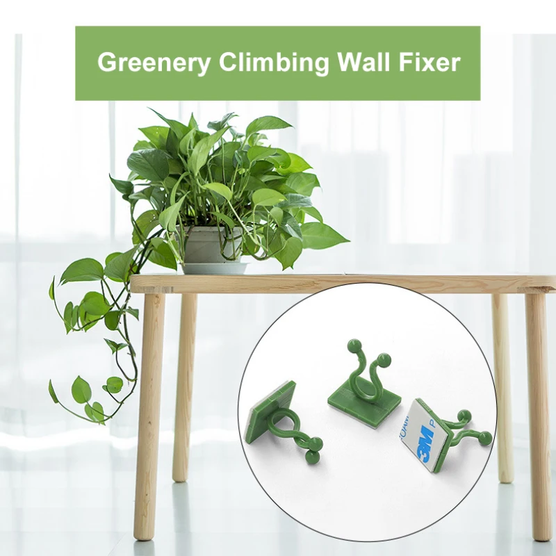 

Plant Climbing Wall Fixture Clips Green Rose Buckle Vine Traceless Anchor Nail Free Fixing Snap Self-adhesive Hook Garden Tools