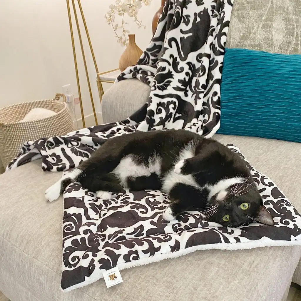 

Kitty & Me | Fleece Blanket and Cat Mat