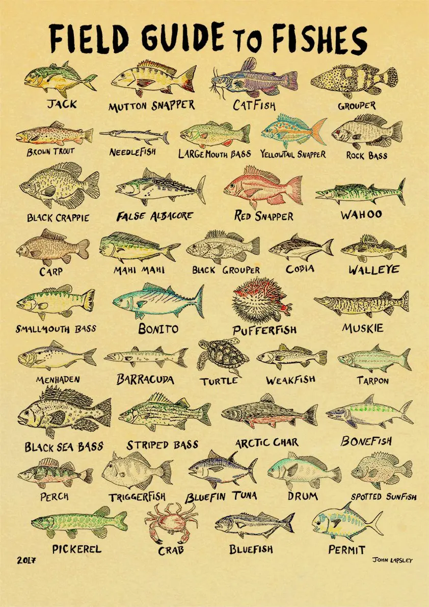 

Настенный плакат SNAPSEED Рыбалка