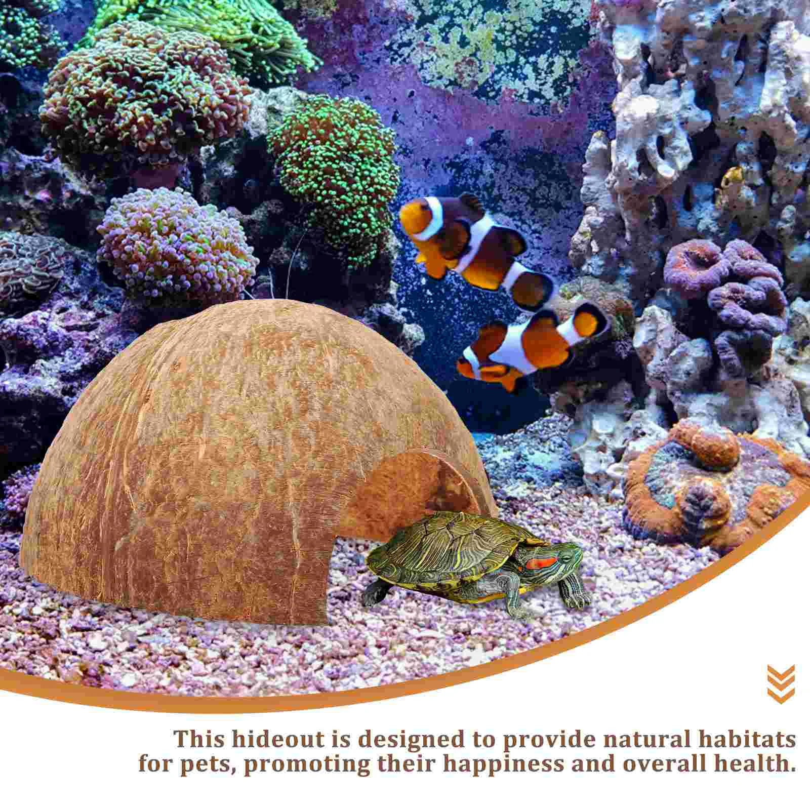 Кокосовое убежище Дом-отшельник Краб Пещера Очаровательные ракушки рептилий