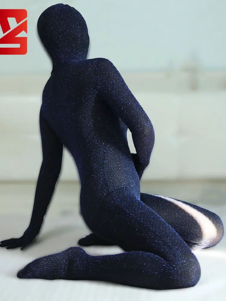 

Zipper Open Crotch Bodysuit Tights Full Coat Zentai Conjoined Jumpsuit Leotard Catsuit Separate Fingers See Through Bodystocking