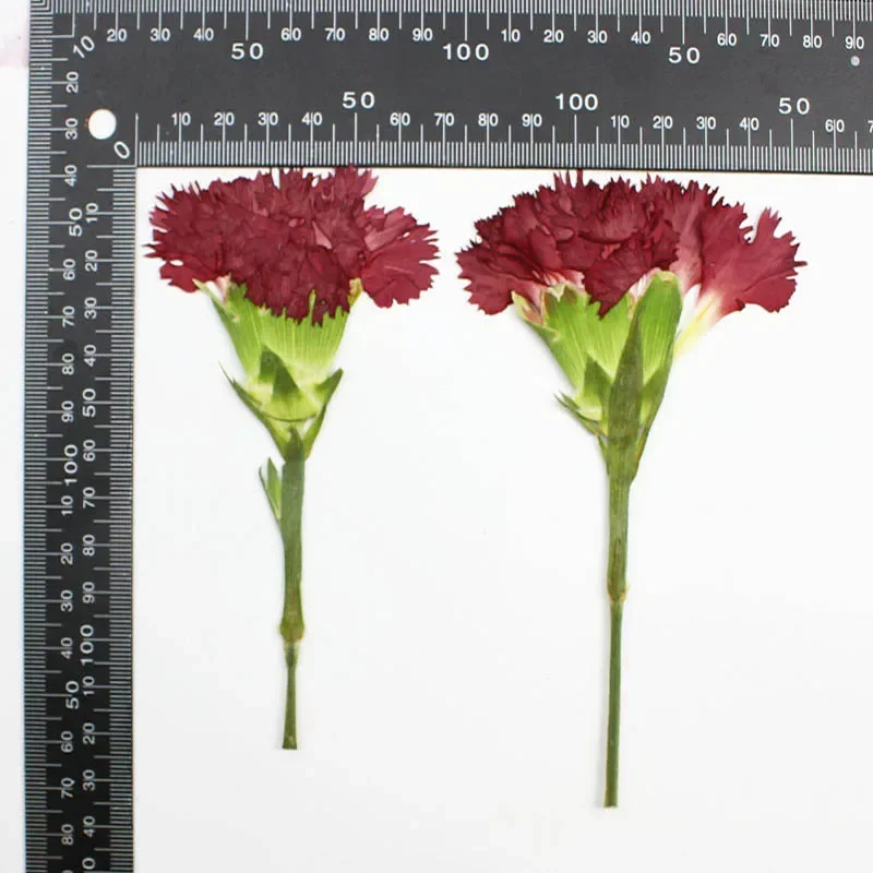 200 шт. боковая фотография