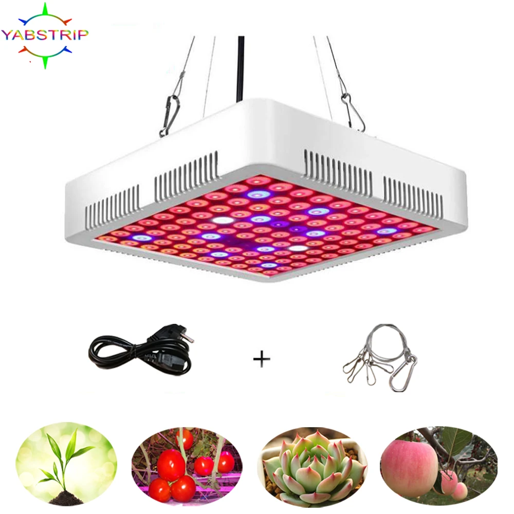 300w 50w 45w 25w