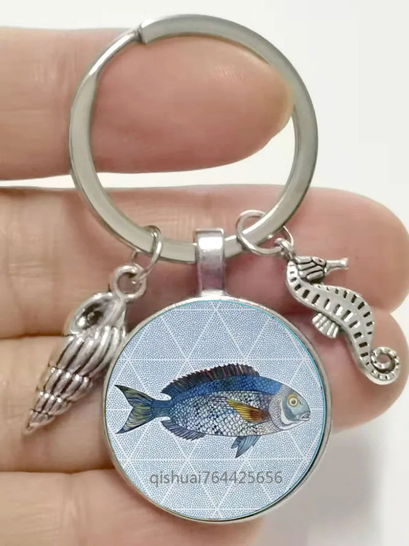 

Брелок для ключей из сплава, 25 мм, бижутерия в виде голубого океана, морского моря, черепахи, Дельфина, ракушки, рождественский подарок