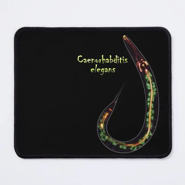 

Caenorhabditis Elegans Mouse Pad Keyboard Gamer Play Mousepad Printing Carpet Anime PC Desk Mens Table Mat Gaming Computer