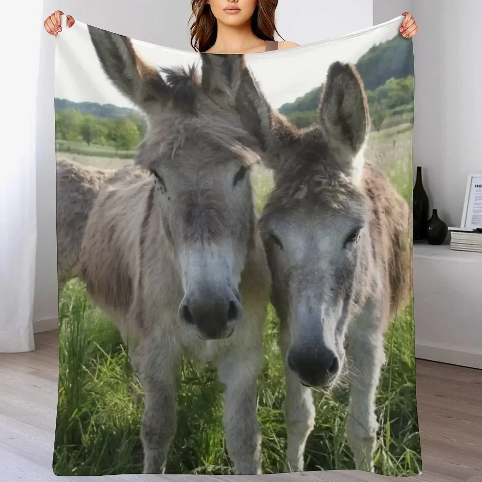 Очаровательные серые ослики в лугу с высокой травой пледы пляжное декоративное