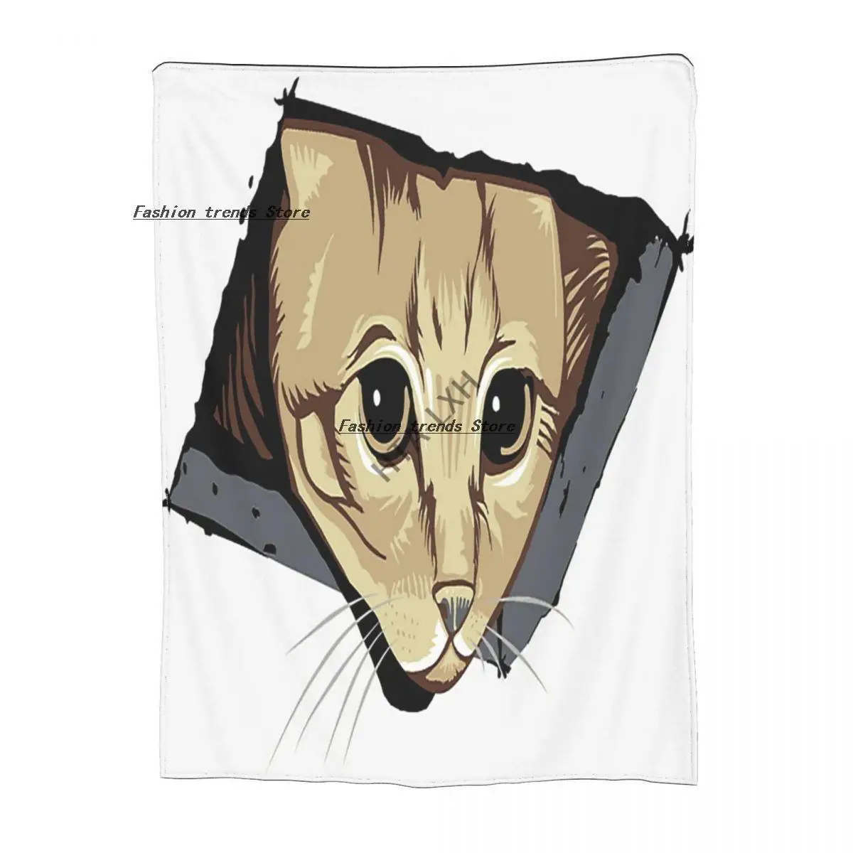 

Ceiling Cat Watches You, LOLCat Favorite Sherpa Blankets Ultra Soft Flannel Fleece Throw Blankets for Couch Sofa Bed
