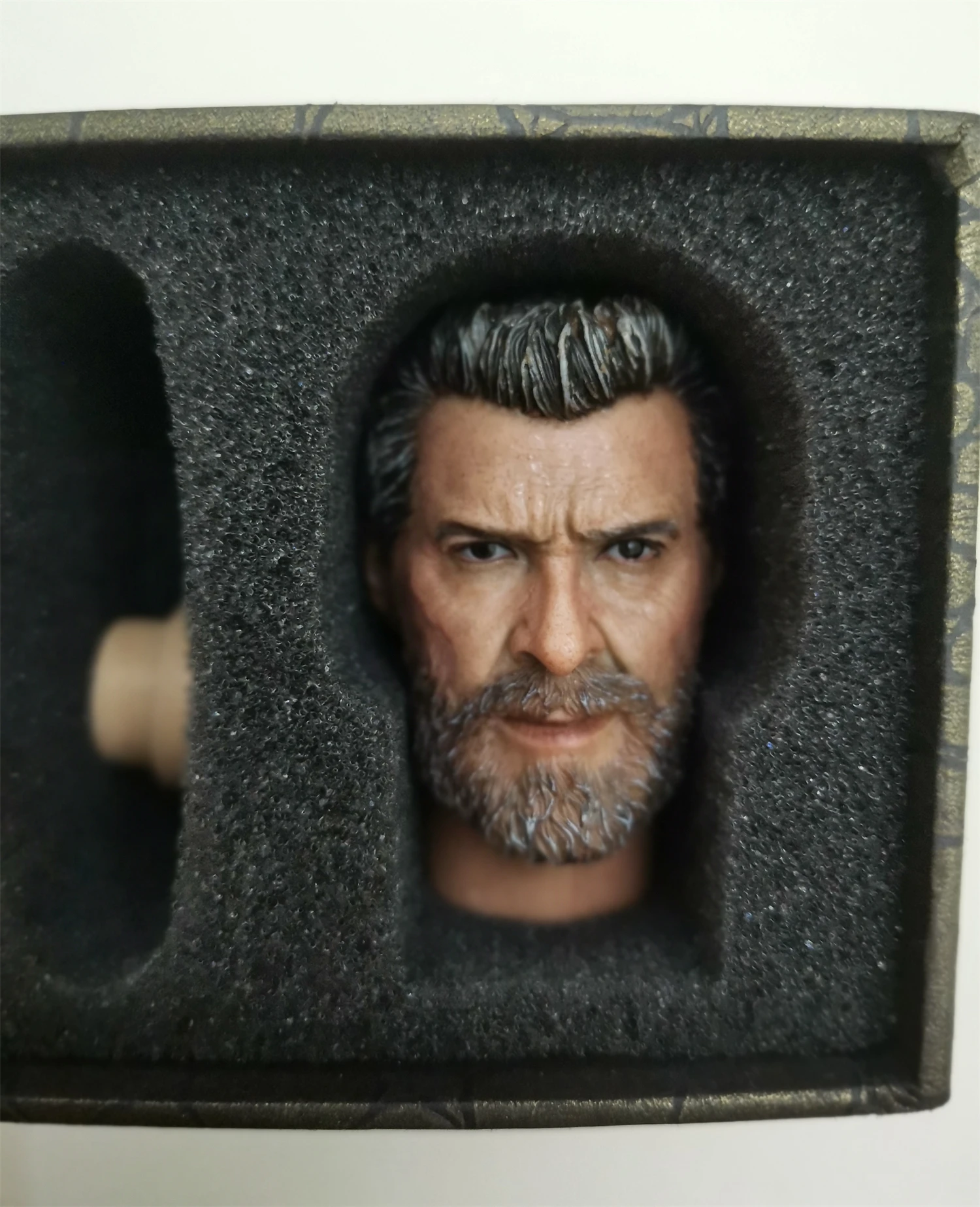 

Buring Soul 1/6 Old Logan Hugh Jackman Head Sculpt Carved Fit for 12'' COOMODEL Worldbox Action Figure