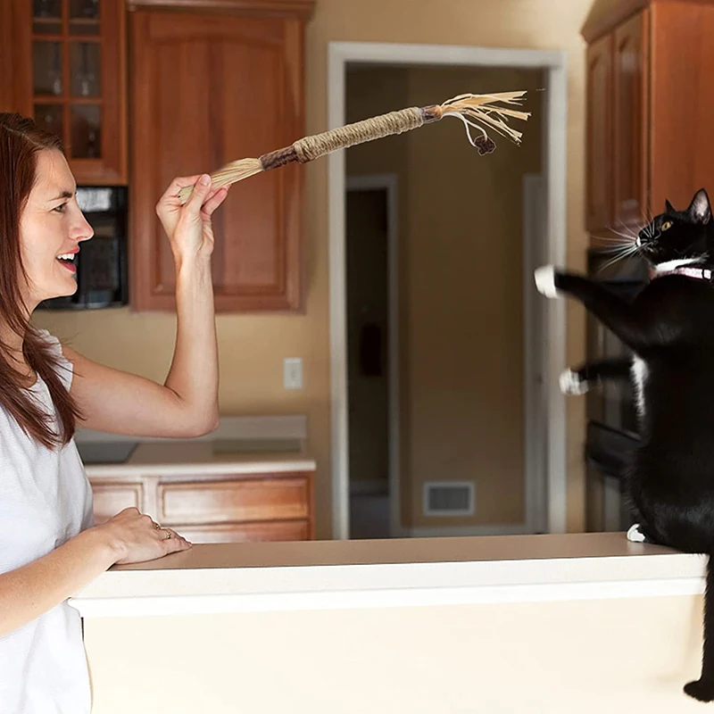 Забавная кошачья молярная палочка антирасточная игрушка расслабляющая