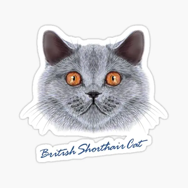 

British Shorthair Cat Car Auto Sticker Adhesive Sticker 17CM z1