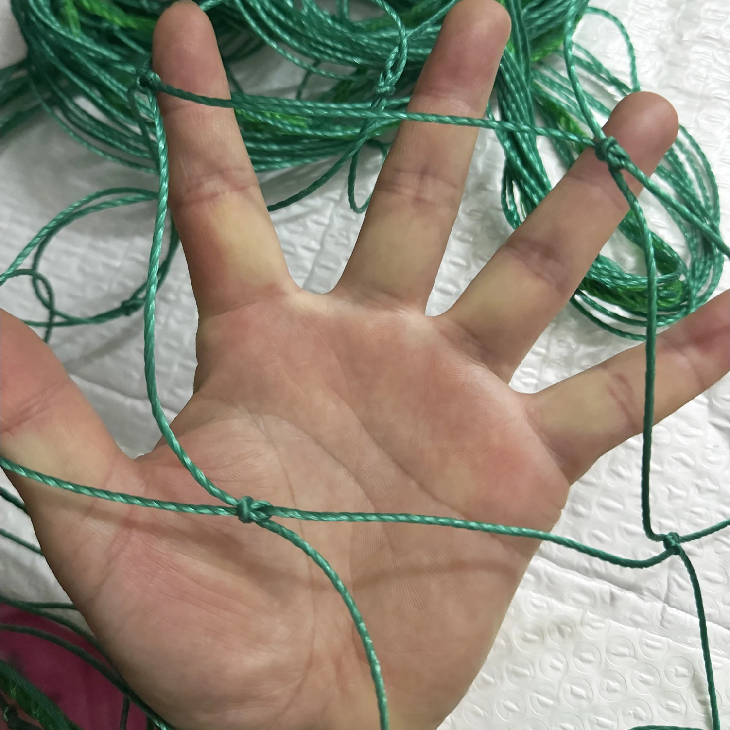 

Пластиковая сетка для растений 10х10 см