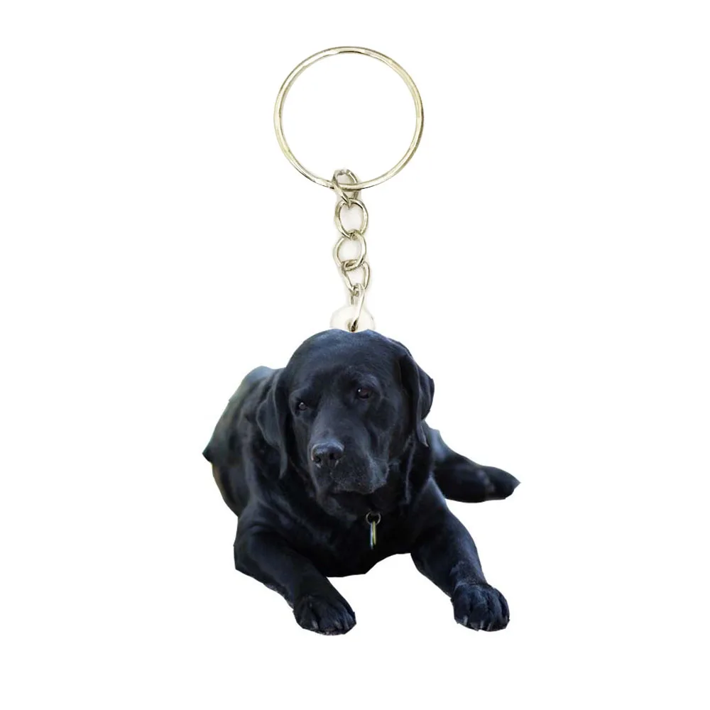 

Labrador Retriever Dog Acrylic Keyring Animal Cute Charms Keychain Men Key Chain Ring Boyfriend Gift Gifts for Women Accessories