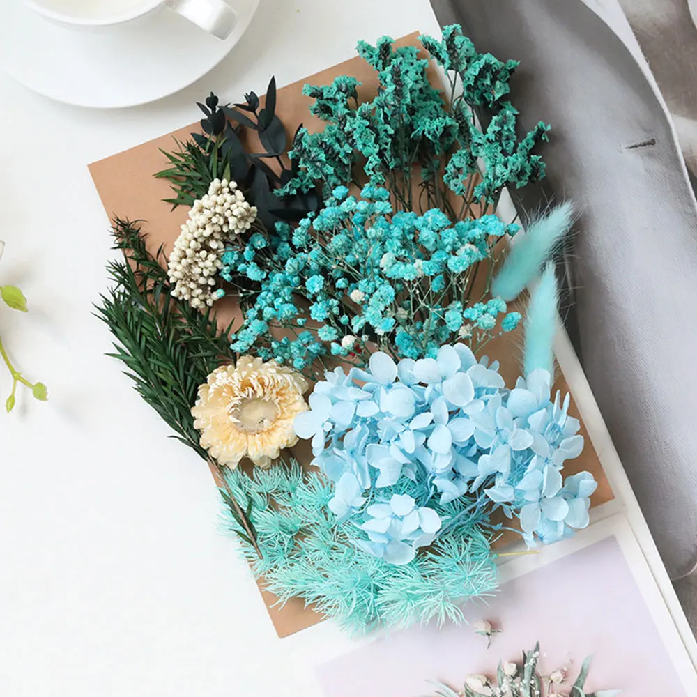 

Сушеные цветы и листья гортензий, ромашек для декора