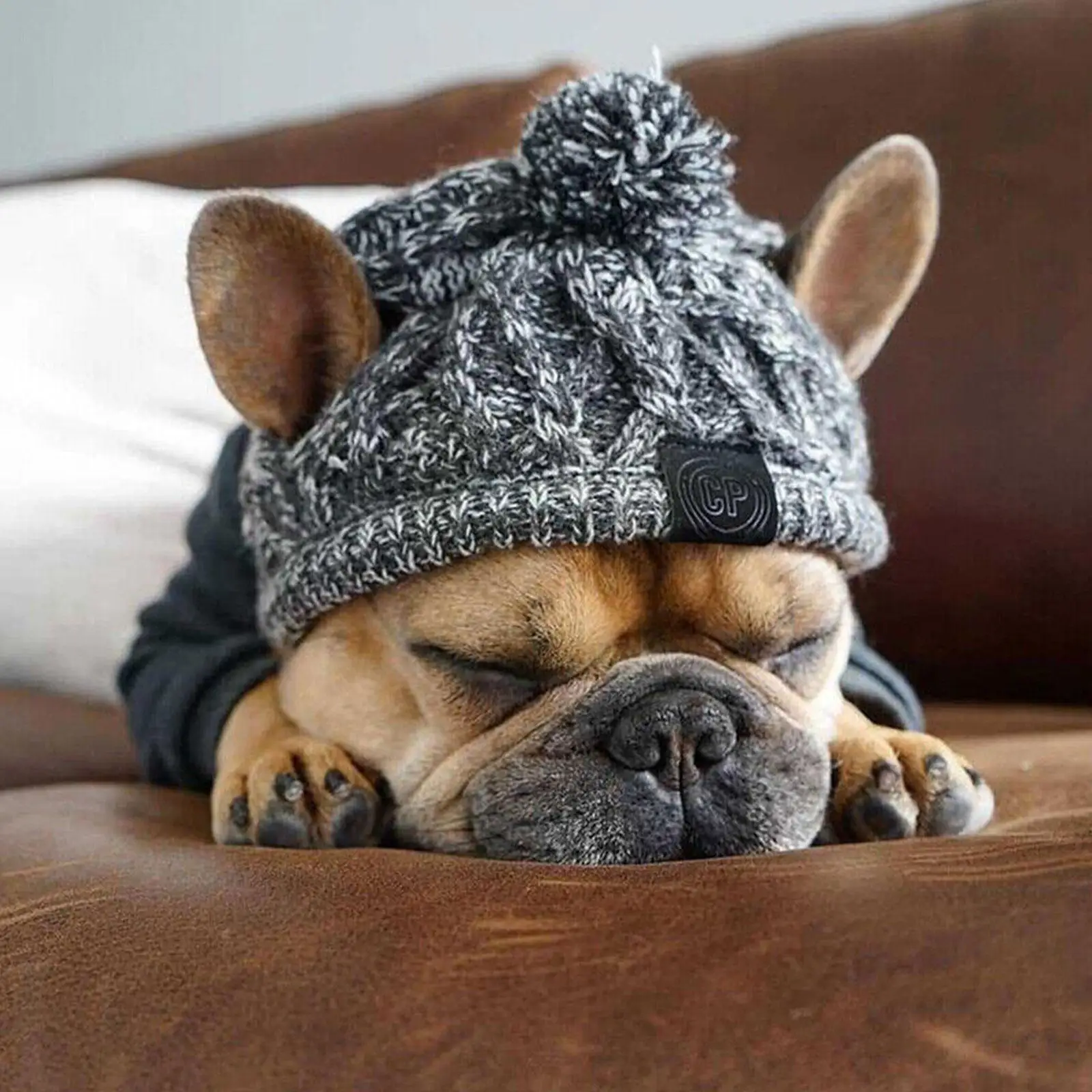 

Winter Warm Dog Hats Windproof Knitting French Bulldog Hat For Dogs Chihuahua Hat Fluffy Ball Puppy Accessories Pet Hat H5Y6