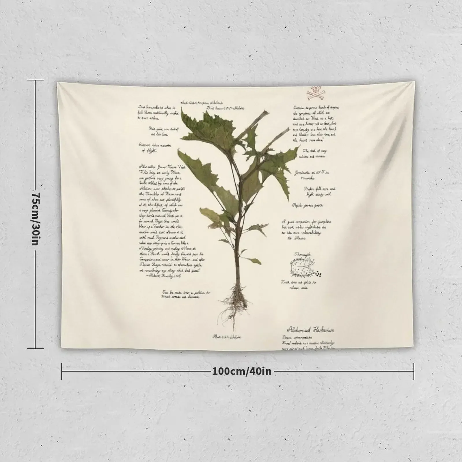 Дьявольский малый гобелен - дурман страмониум декор комнаты милый для украшения