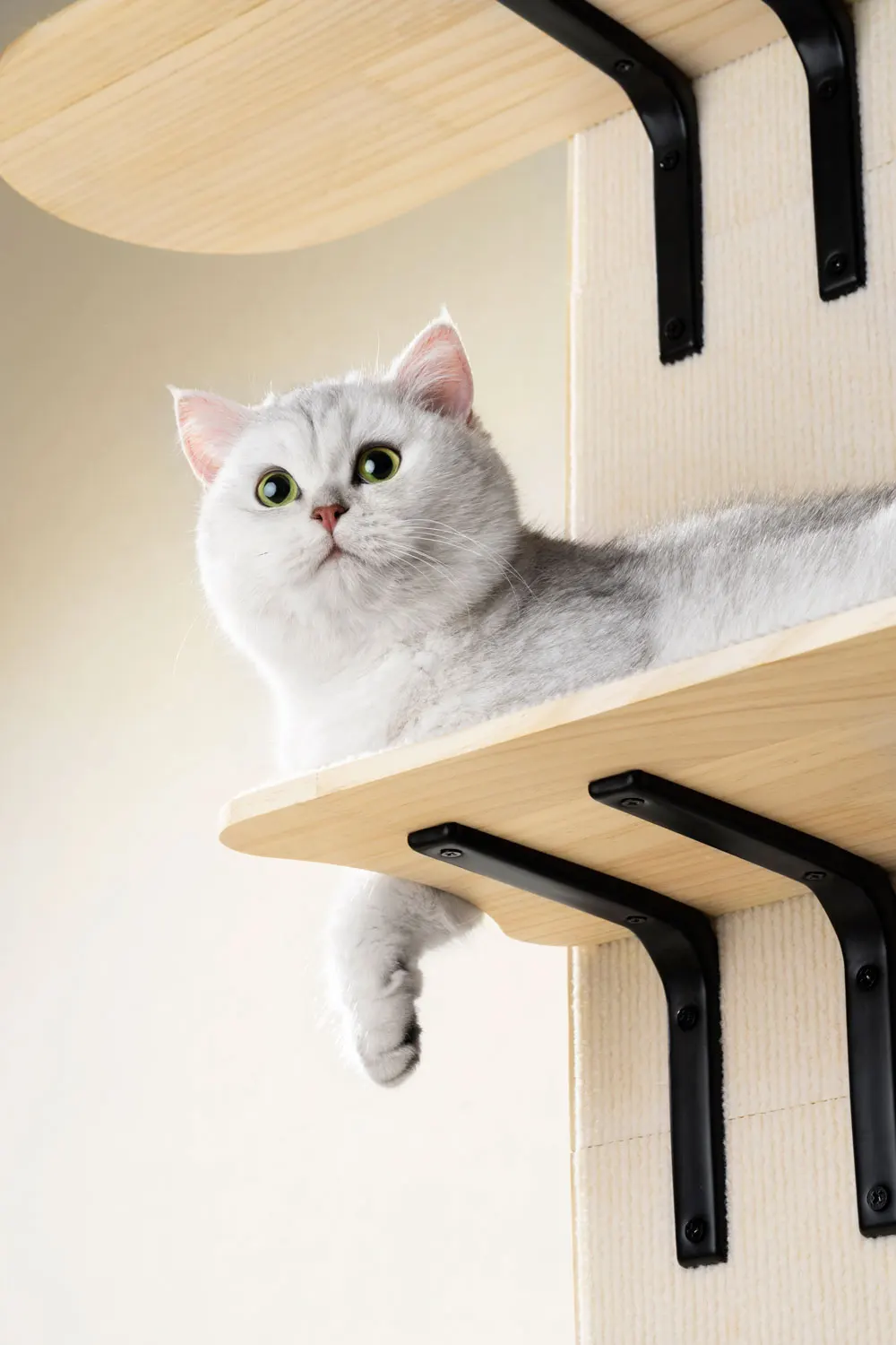 Дверная подвесная кровать Mewoofun для кошачьей сосны Экологически чистая хорошая