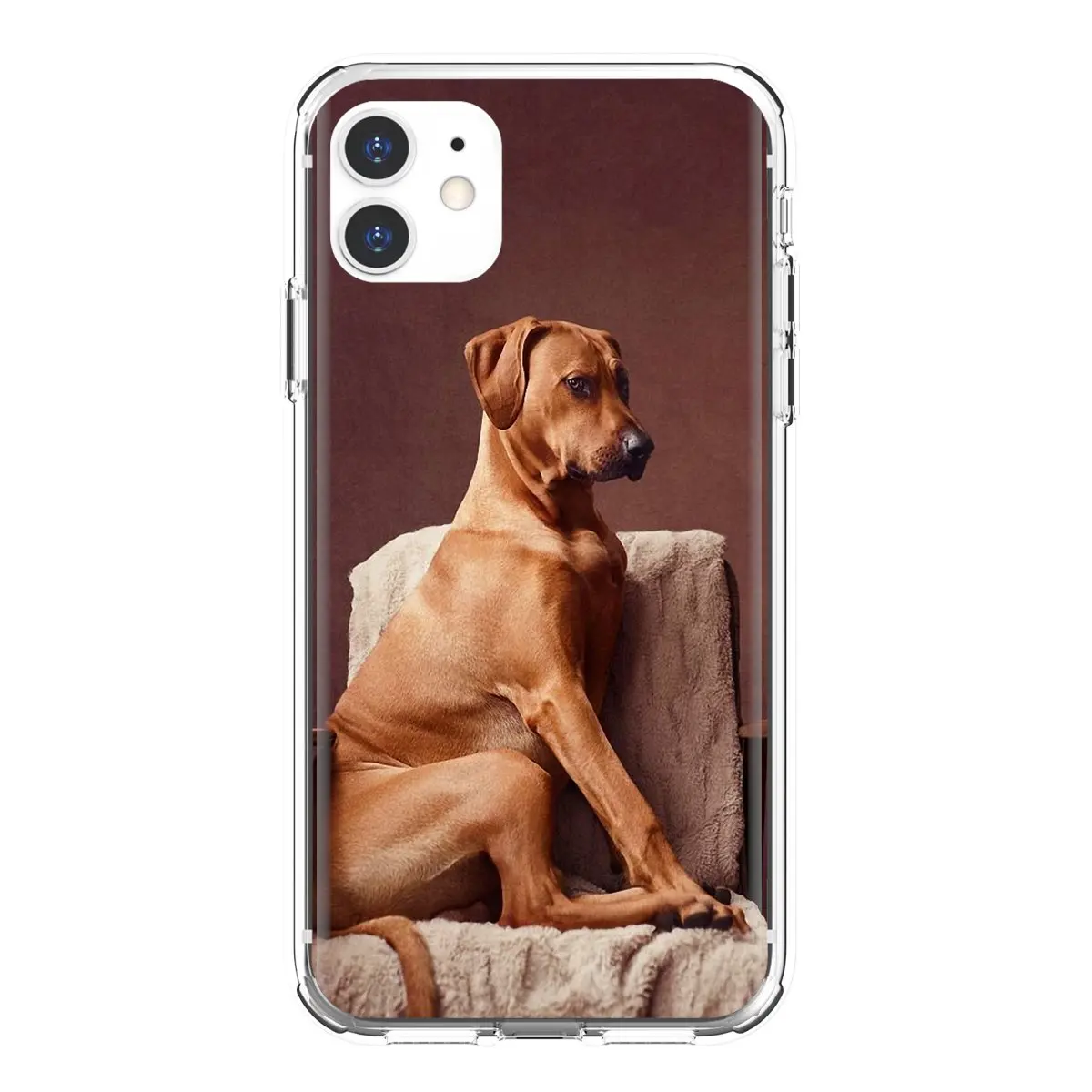 Телефонный корпус с постером Rhodesian-Ridgeback-Dog для Huawei P50 P30 P40 P20 P8 P9 P10 Lite Pro 2016 2017 P Smart Plus 2019.