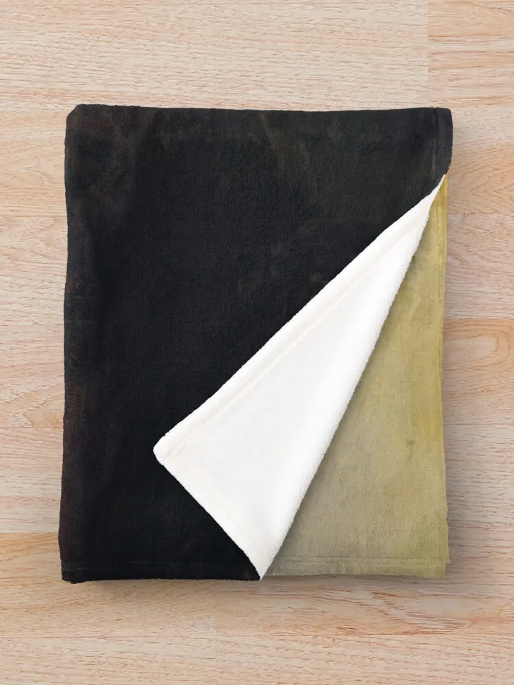 Arkhyp Kuindzhi - Вечернее одеяло декоративные одеяла Polar