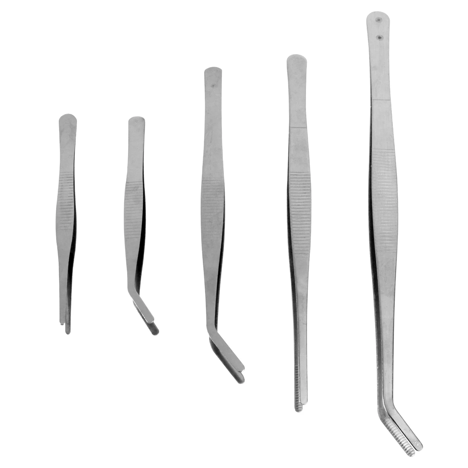 

5 Pcs Gardening Tweezers Beauty Kit Tool Accessory Miniature Hand Tools Stainless Steel Small Planting
