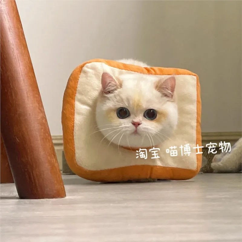 Солнцезащитный венок с изображением кошки милый кастрированный ошейник