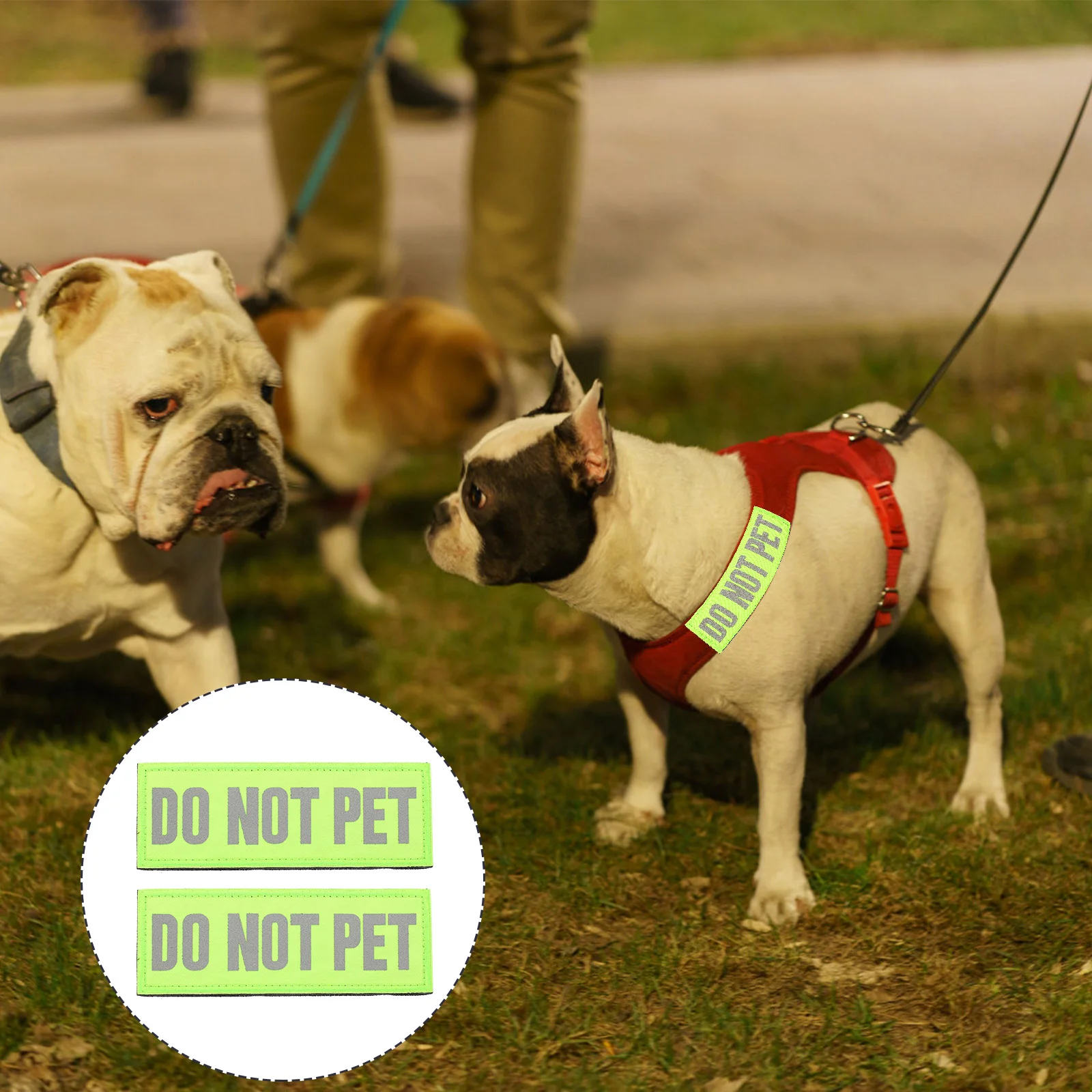 

Dogpatch Vest Service Harness Do Sticker Not Pet Backpackstraining Hook Loop Adhesivereflective Harnesses Removable Dogs