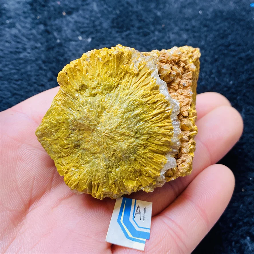 

Natural Ocean Jaspequartz crystal Stones healing home decor