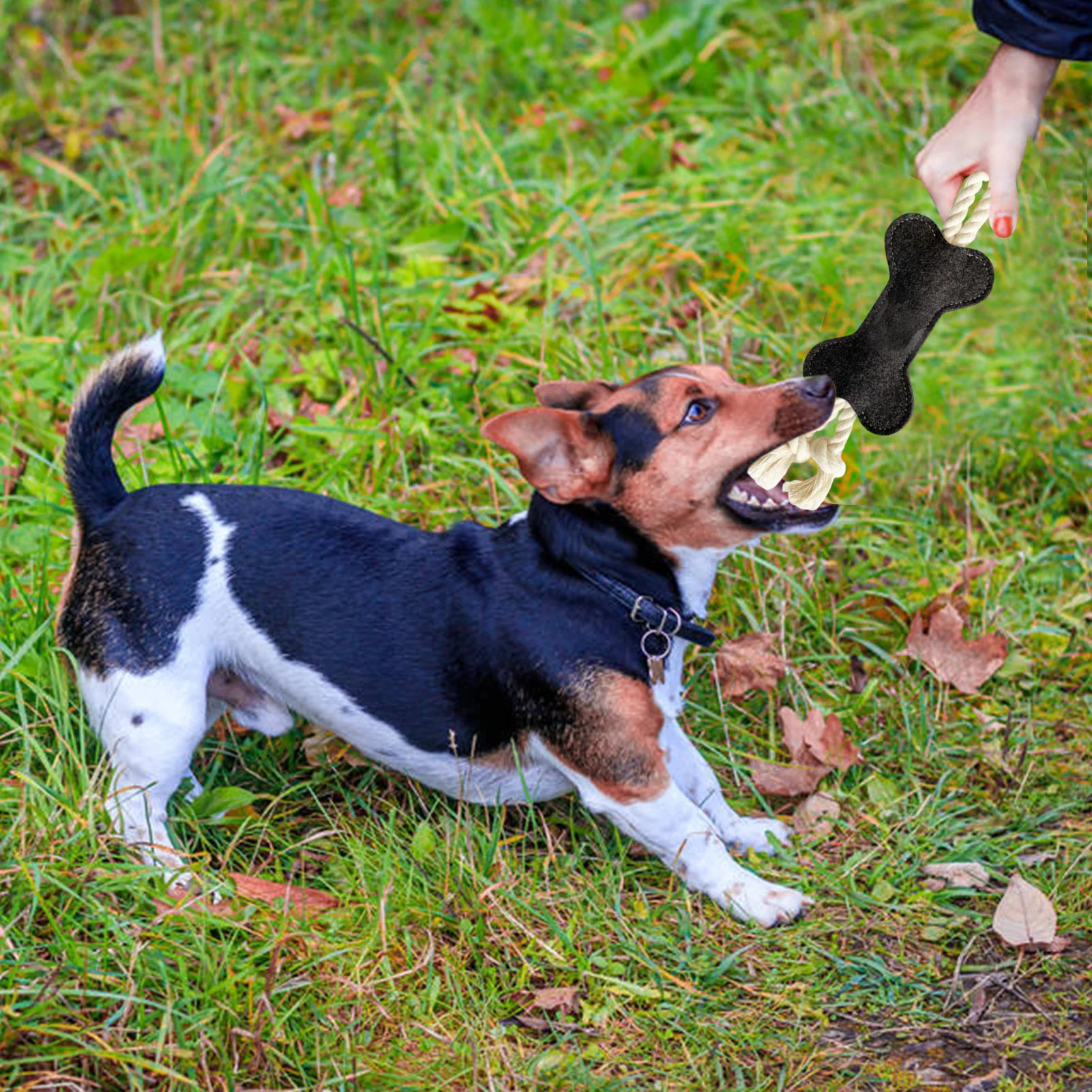 

Жевательные игрушки для собак, игрушки для прорезывания зубов для щенков малого размера, Жесткая прочная жевательная игрушка-прорезывател...