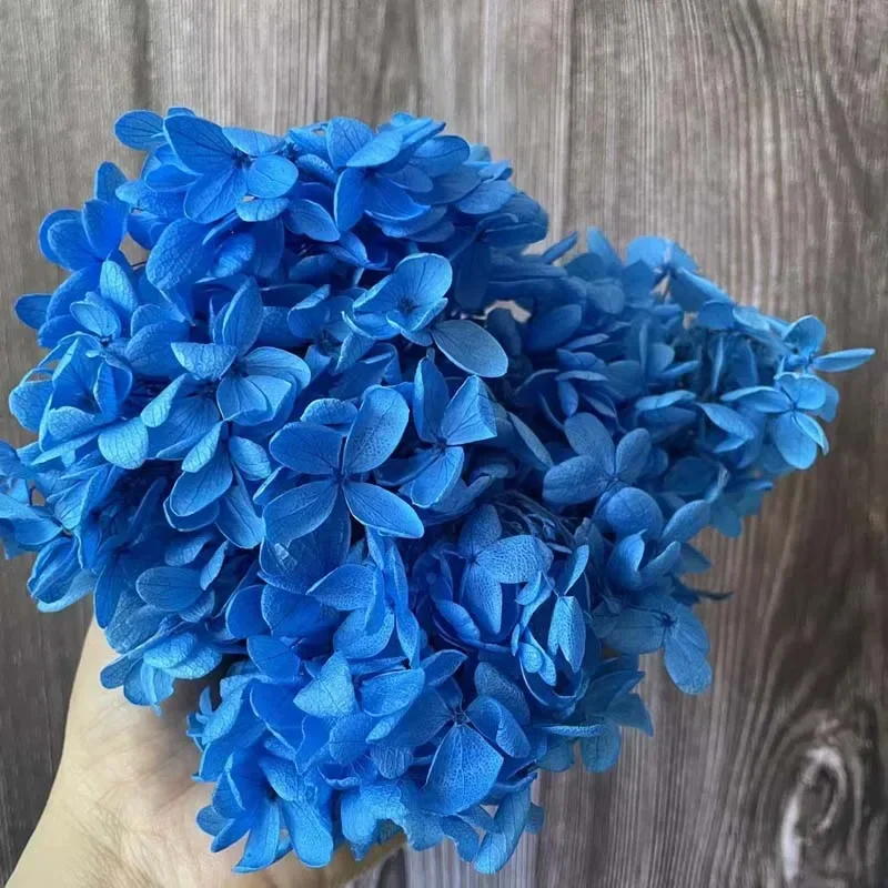 

Консервированные цветы гортензии NYAConfetti