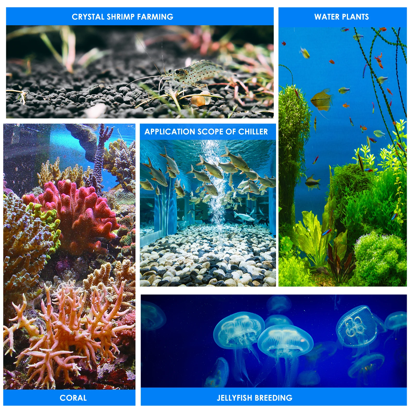 60 л аквариумный охладитель воды полупроводниковый контроль температуры для