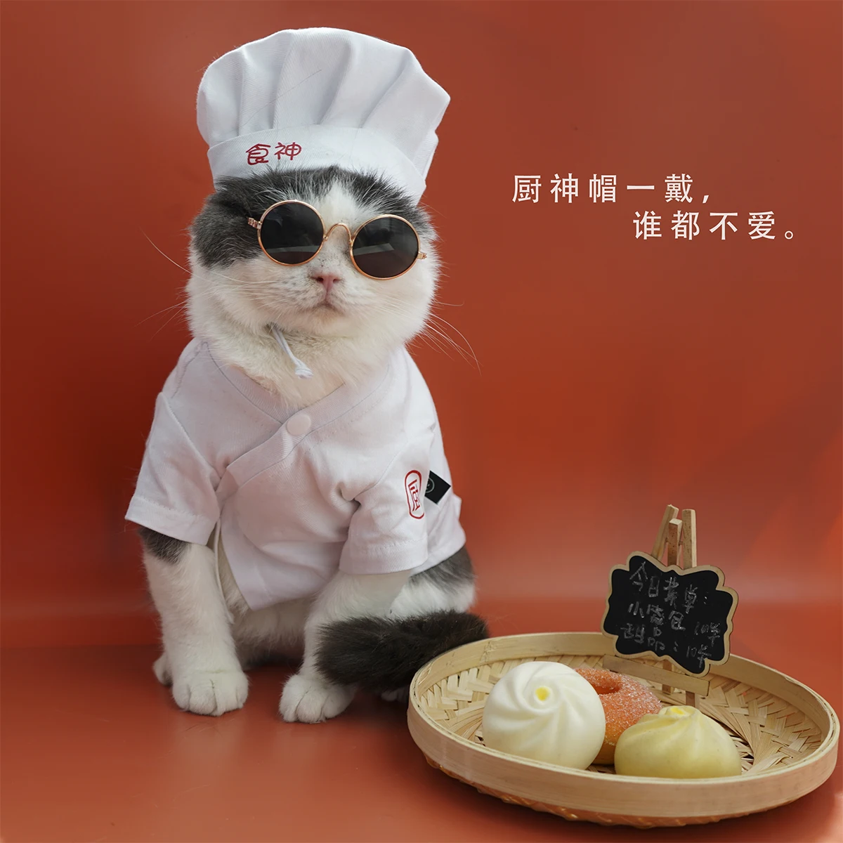 

MPK New Series Cat Costumes Cat Clothes Chef Costume Spring And Autumn Thin Anti-Hair Loss Also Suitable For Dogs (A4814)