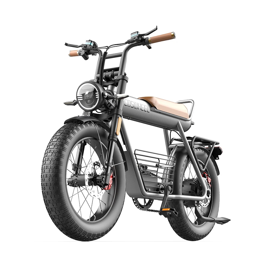 

High Power 20'' e-bike rear 48v 750w 1000w Fat Tire Snow Electric Mountain bicycle powerful banana seat ebike
