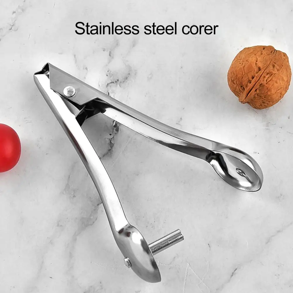 

2Pcs Cherry Pitter Tools Durable Wide Application Reusable Kitchen Accessories Cherry Core Removers Fruit Pit Removers